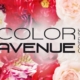 color avenue
