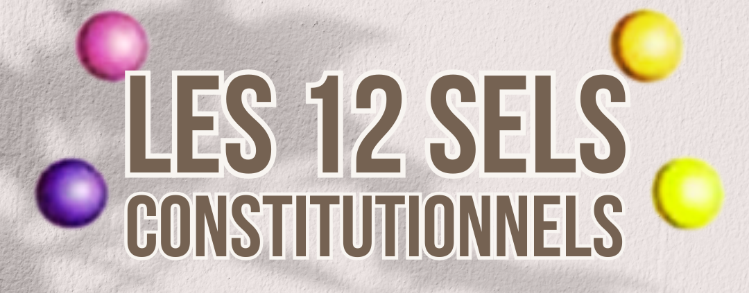 Les 12 sels constitutionnels du Professeur Shussler