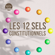 Les 12 sels constitutionnels du Professeur Shussler