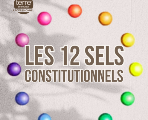 Les 12 sels constitutionnels du Professeur Shussler