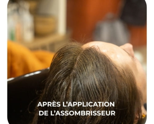 Résultat de l'assombrisseur