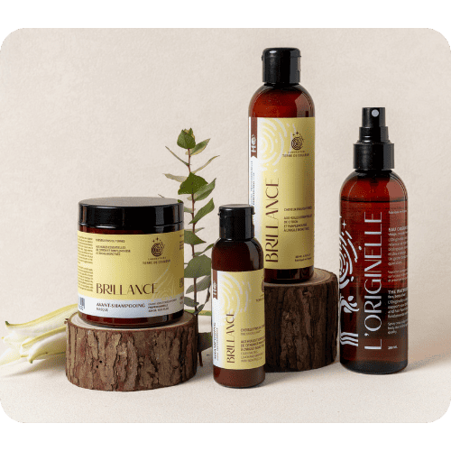 BRILLANCE rituel head & hair spa brillance pour cheveux ternes, fins en manque de volume.
