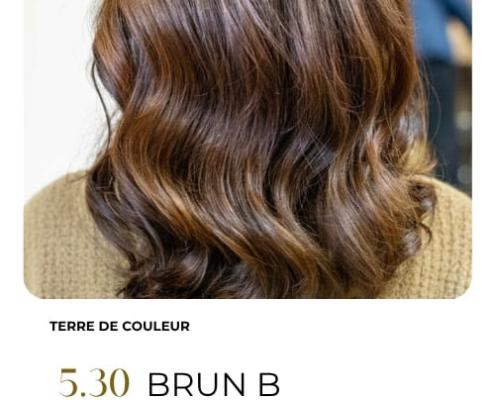 coloration vegetale brun b