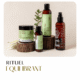 Rituel équilibrant pour les cuirs chevelus transpirant