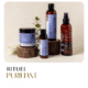 Rituel purifiant spécial cheveux gras et pellicules grasses