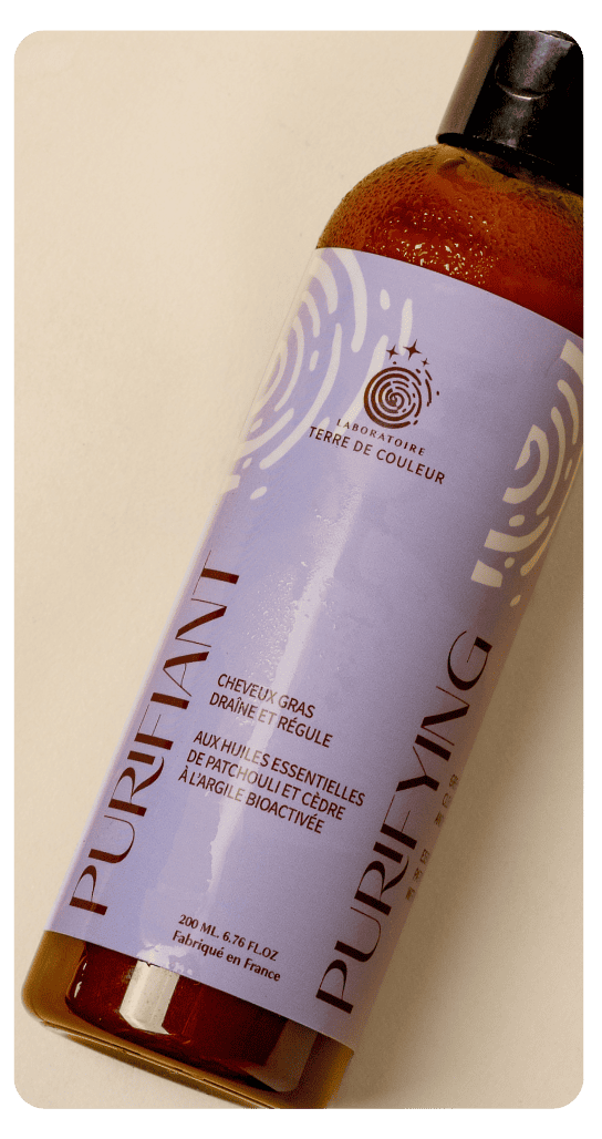 purifiant copie shampooing pour cheveux gras