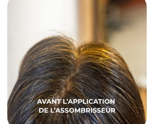 modèle avant l'assombrisseur