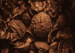 broux de noix plantes tinctoriales pour les colorations végétales