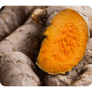 curcuma super plante tinctoriale pour coloration végétale
