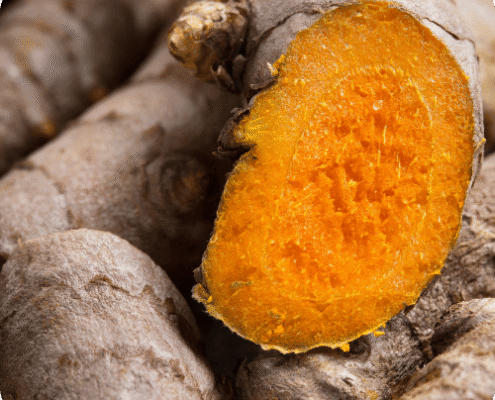 curcuma super plante tinctoriale pour coloration végétale