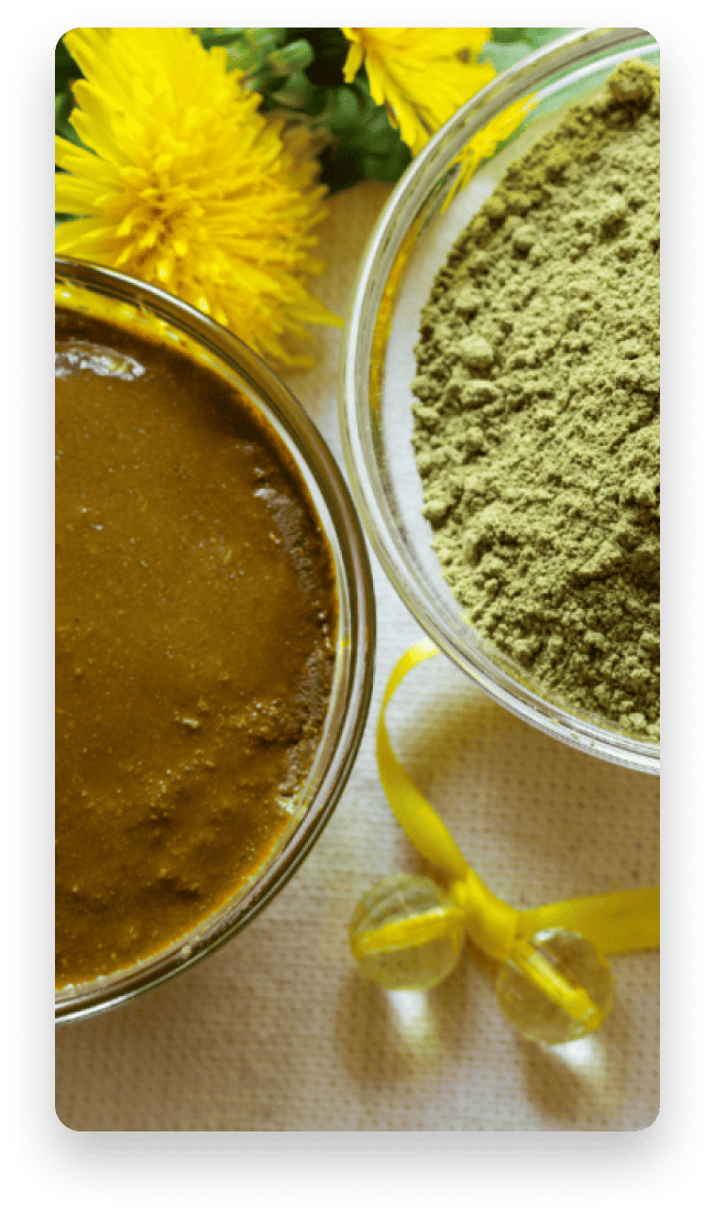 plantes tinctoriales en coloration végétale